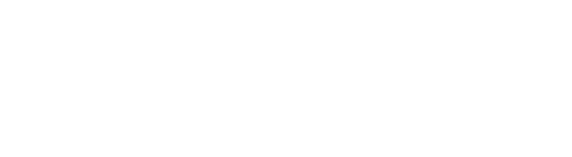 Brand Logo - Light Transparent